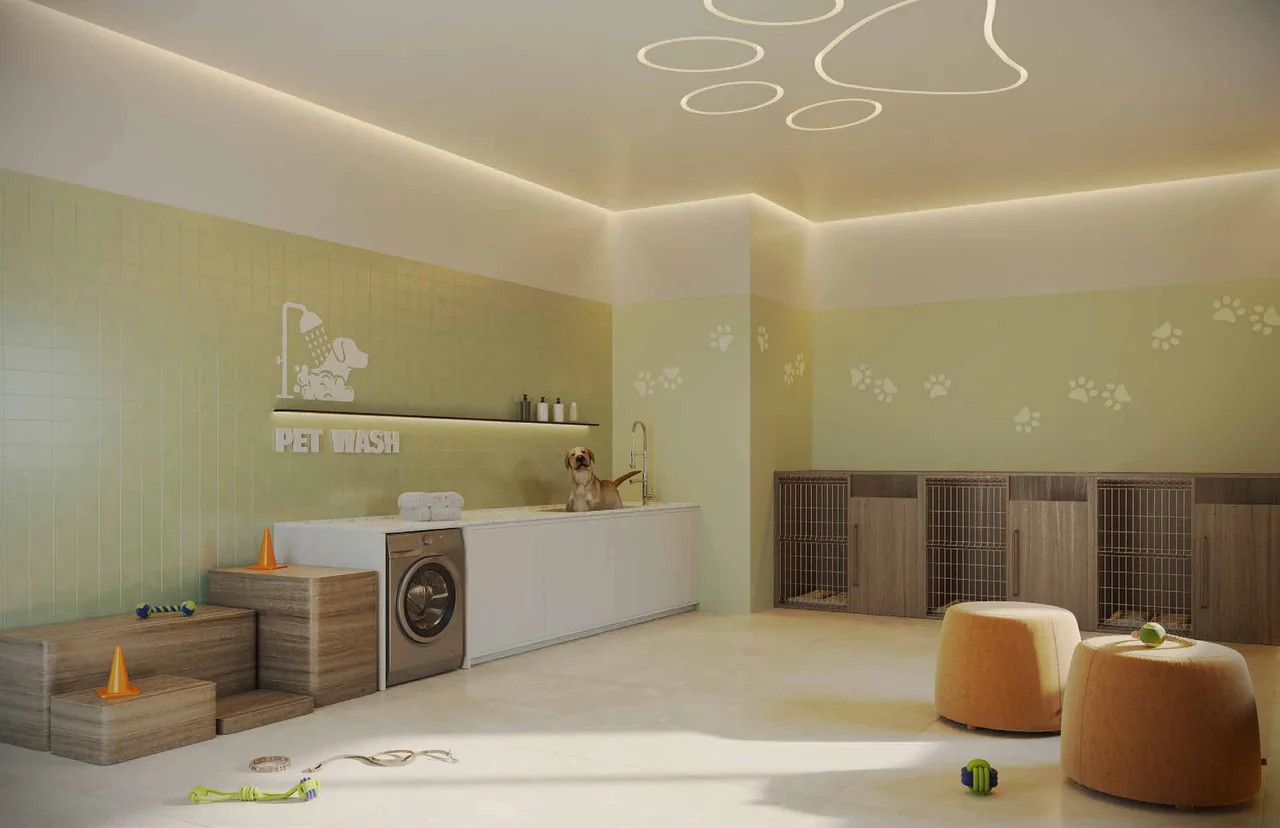 Perspectiva artística: Pet Care — NID Alphaville